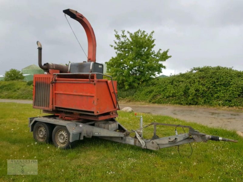 Holzhacker & Holzhäcksler des Typs Dücker HM 250, Gebrauchtmaschine in Pragsdorf