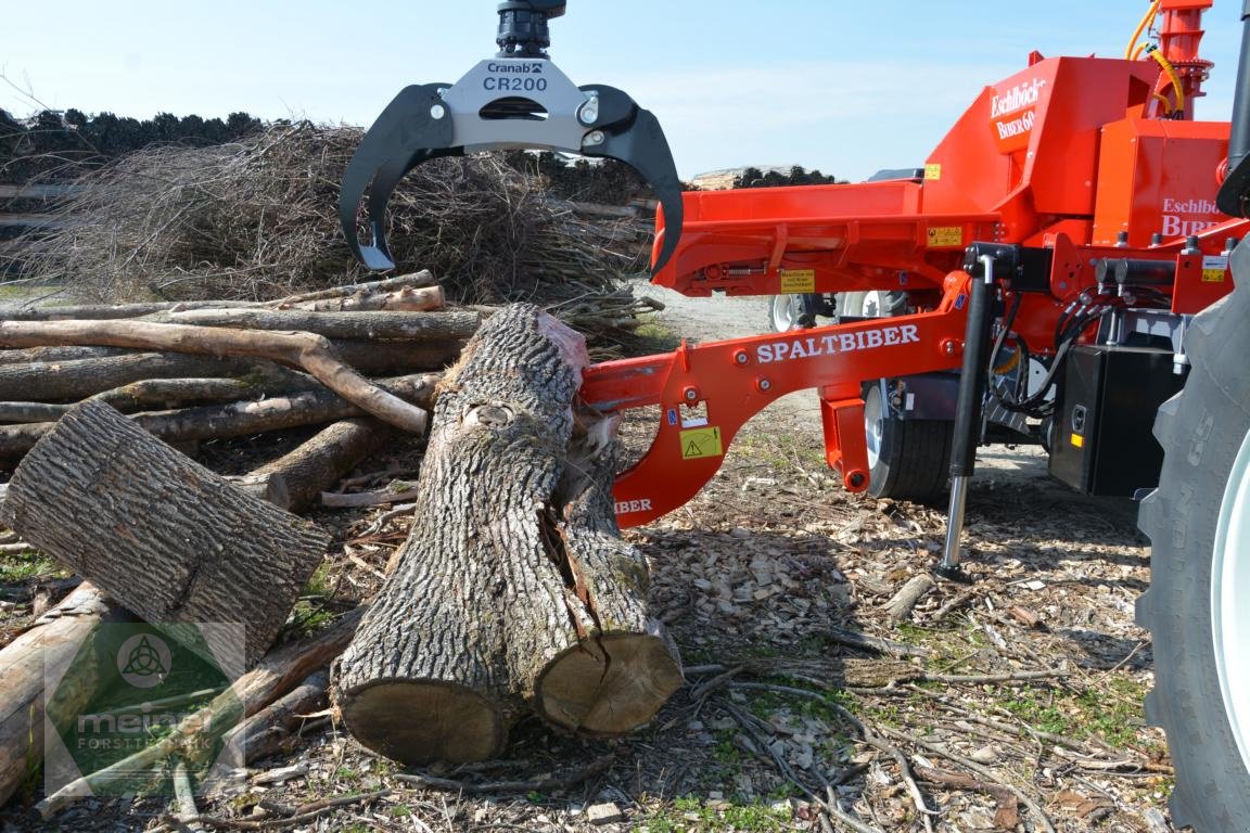 Holzhacker & Holzhäcksler типа Eschlböck Biber 60 ZK, Gebrauchtmaschine в Klingenthal (Фотография 9)