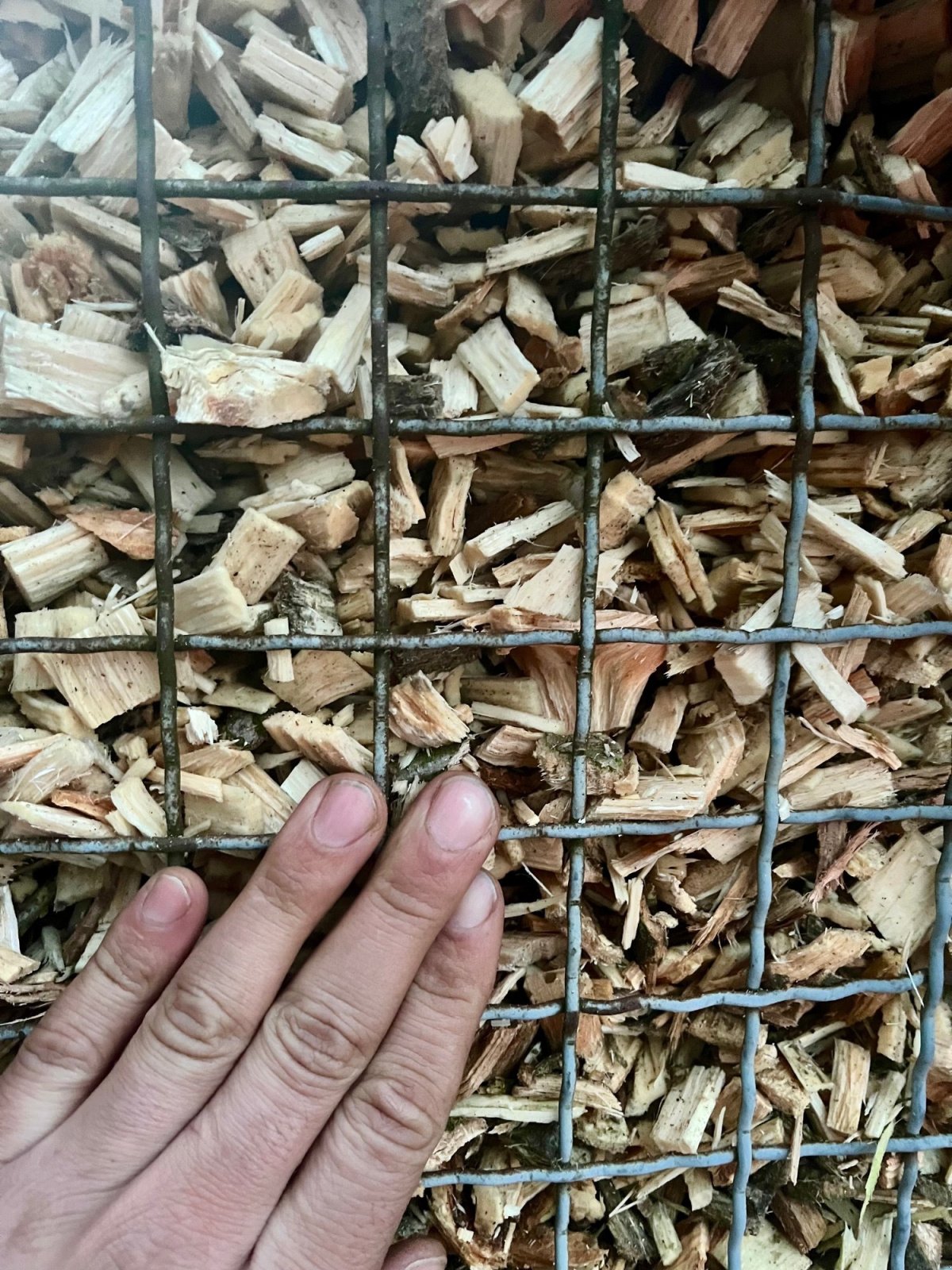 Holzhacker & Holzhäcksler του τύπου Eschlböck Biber 7 Plus, Gebrauchtmaschine σε Rodewald (Φωτογραφία 20)