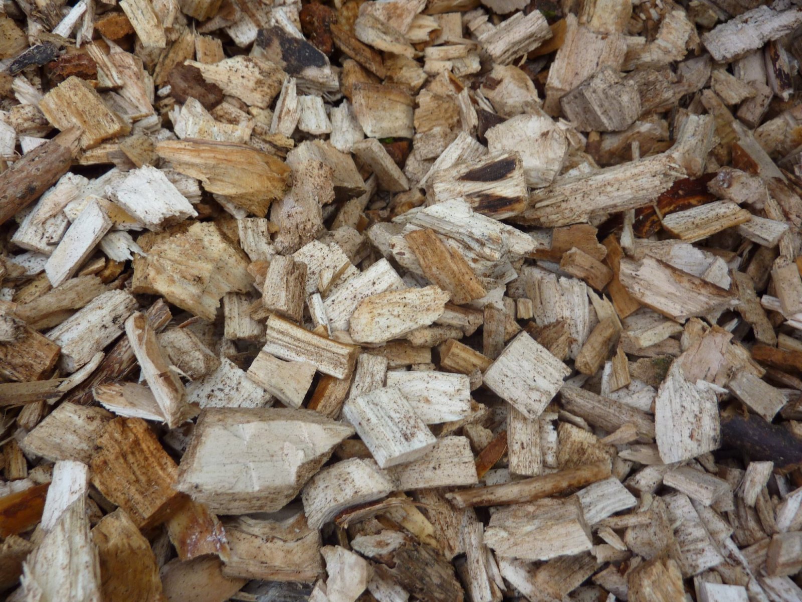 Holzhacker & Holzhäcksler от тип Eschlböck Biber 70 mit KTS Kran, Gebrauchtmaschine в Bockhorn (Снимка 7)