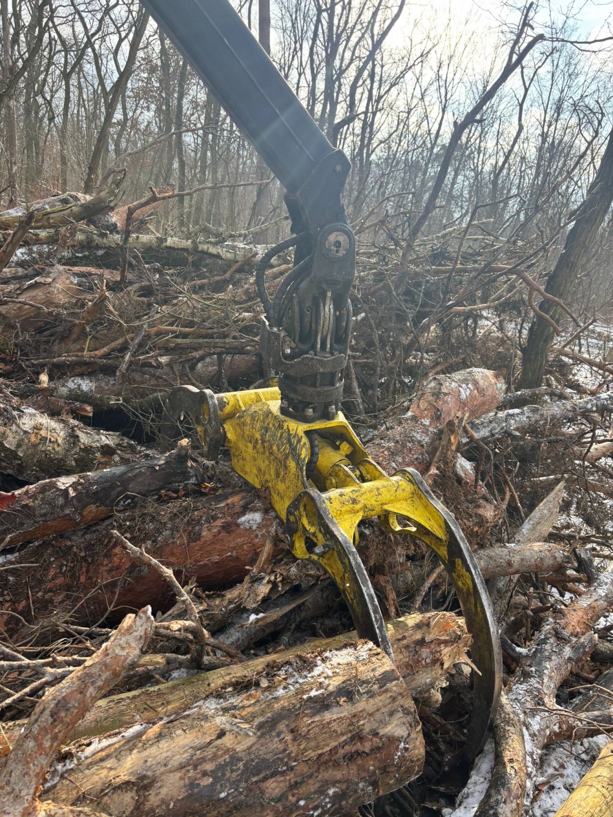 Holzhacker & Holzhäcksler Türe ait Jenz HEM 841Z, Gebrauchtmaschine içinde Zerbst / Anhalt (resim 11)