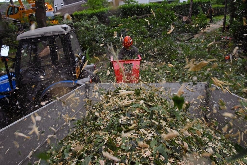 Holzhacker & Holzhäcksler des Typs Sonstige GTM GTS 1800P, Neumaschine in Mijdrecht (Bild 3)