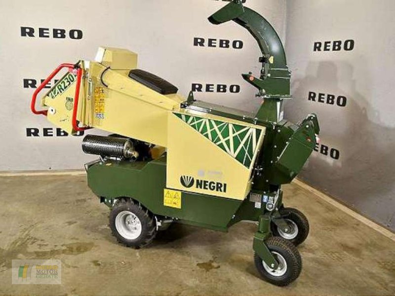 Holzhacker & Holzhäcksler del tipo Sonstige R230, Neumaschine In Bredstedt (Immagine 1)