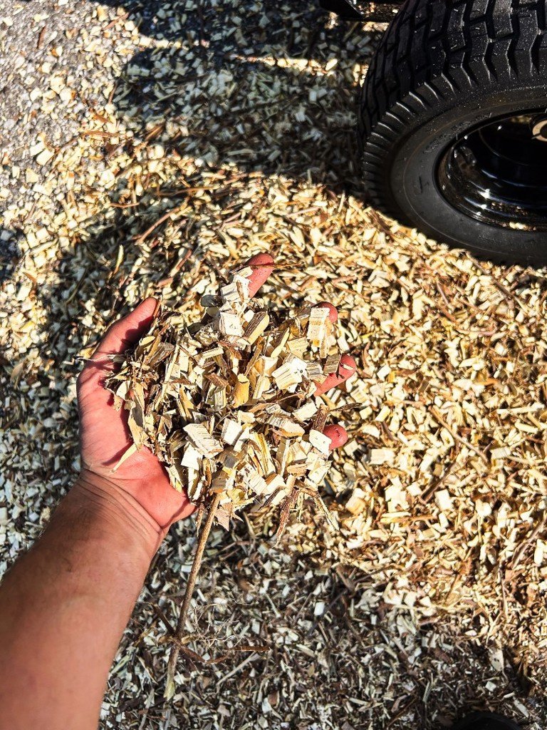 Holzhacker & Holzhäcksler Türe ait Sonstige Sonstiges, Neumaschine içinde Gais (resim 7)