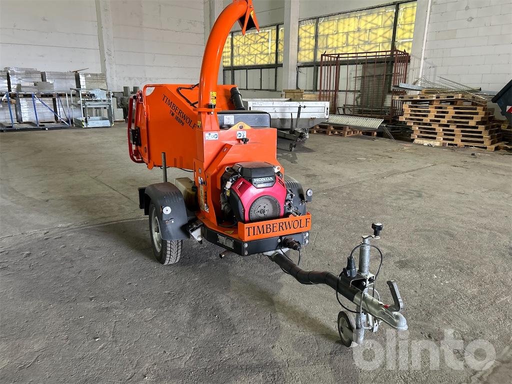 Holzhacker & Holzhäcksler des Typs Timberwolf TW 160PH, Gebrauchtmaschine in Düsseldorf (Bild 2)