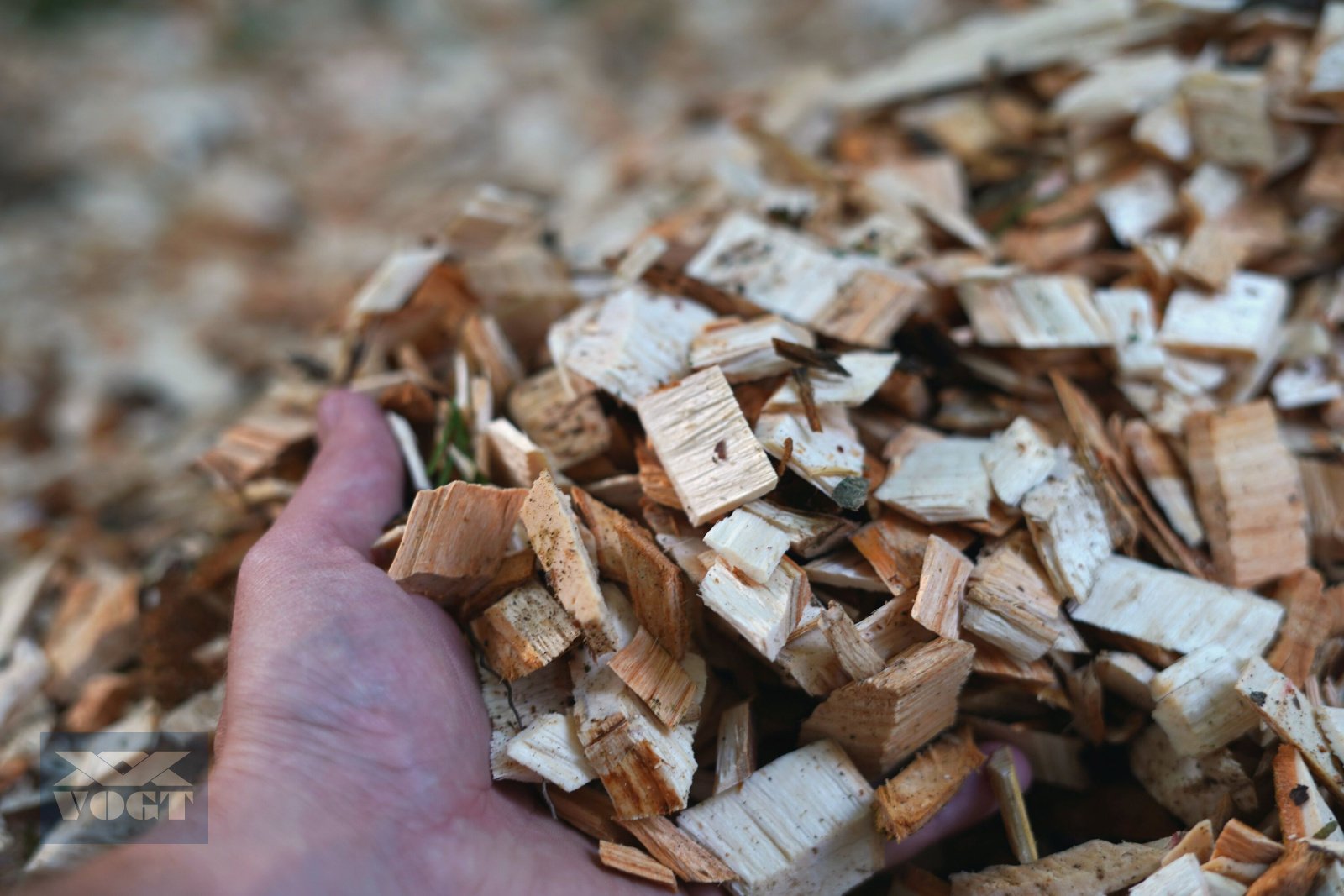 Holzhacker & Holzhäcksler des Typs TP 230 PTO Holzhäcksler /Holzhacker /Holzschredder für Traktor, Neumaschine in Schmallenberg (Bild 11)