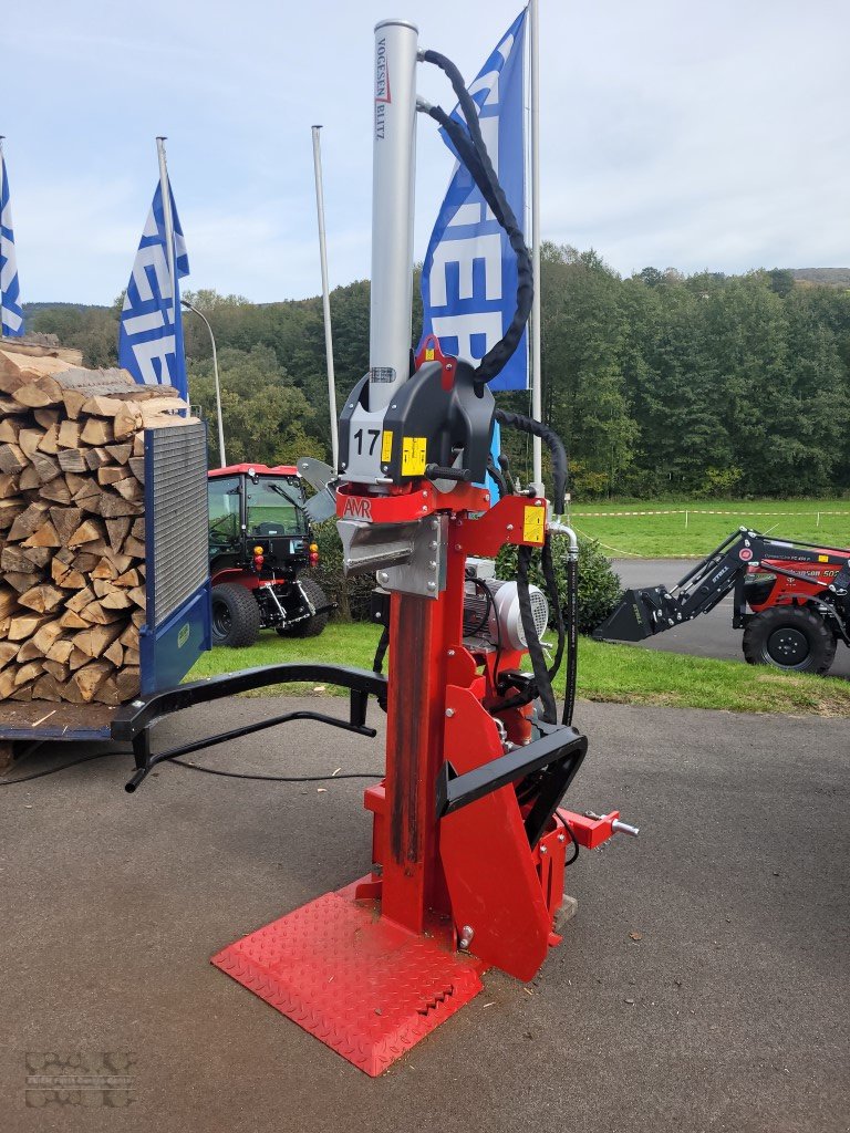 Holzspalter des Typs AMR VPE 17, Gebrauchtmaschine in Geroda (Bild 5)