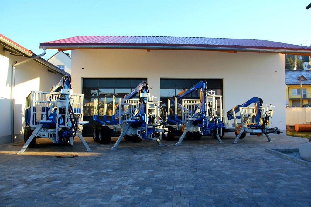 Holzspalter des Typs Binderberger H 20 Z, Neumaschine in Rennertshofen (Bild 10)