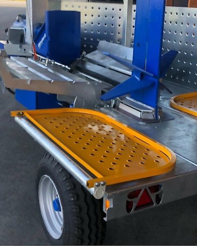 Holzspalter des Typs Binderberger Holzspalter Spalter Kreissäge Förderband Seilwinde, Gebrauchtmaschine in Schmallenberg (Bild 8)