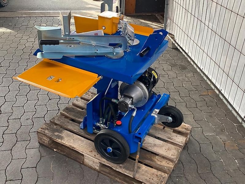 Holzspalter des Typs Binderberger Holzspalter Spalter Kreissäge Förderband Wippsäge, Gebrauchtmaschine in Schmallenberg (Bild 14)