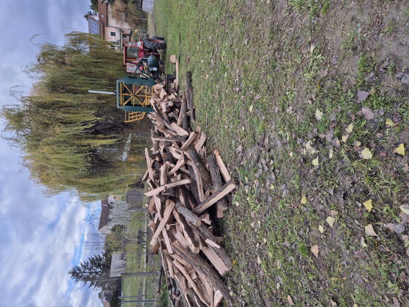 Holzspalter des Typs Eigenbau Liegend Holzspalter, Gebrauchtmaschine in Poysdorf (Bild 1)