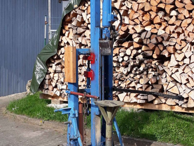 Holzspalter of the type Eigenbau Stehend, Gebrauchtmaschine in Dollnstein (Picture 1)