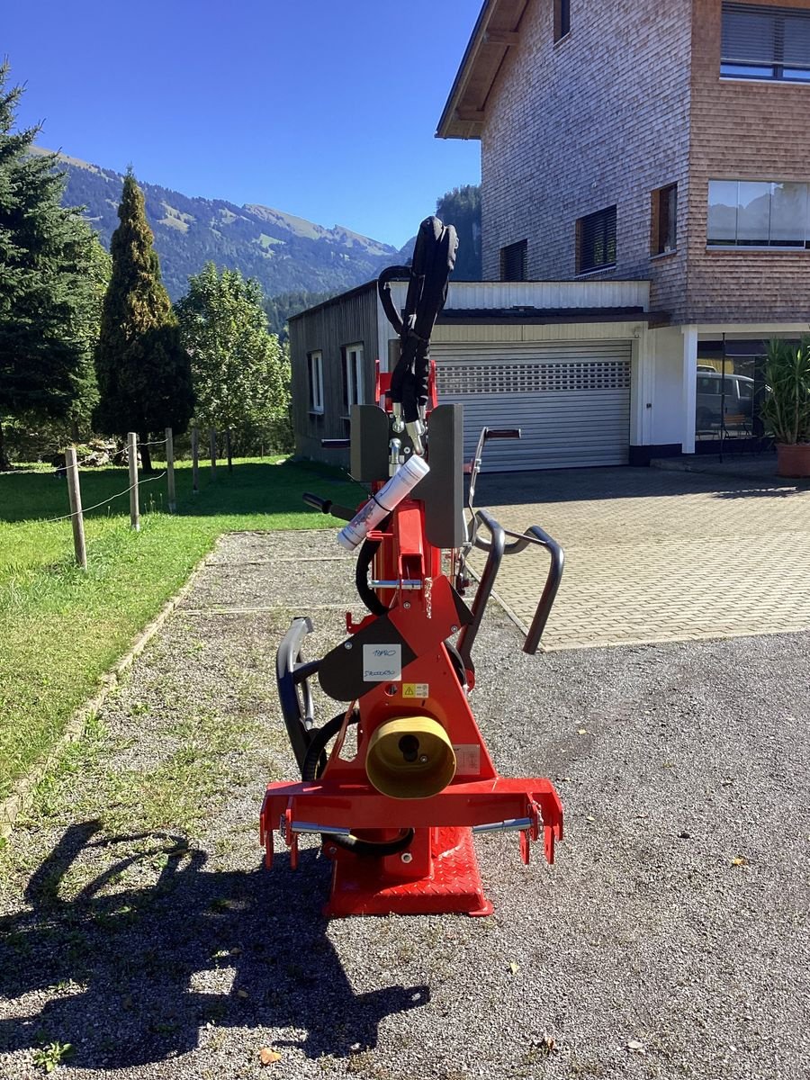 Holzspalter Türe ait Krpan CV 18 K pro, Neumaschine içinde Bezau (resim 5)