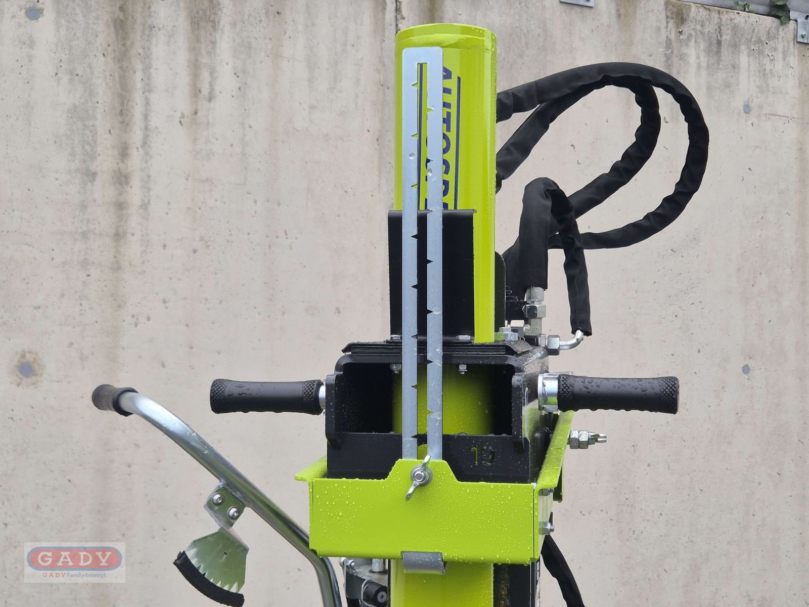 Holzspalter des Typs Paldu 1100-19 HOLZSPALTER, Neumaschine in Lebring (Bild 5)