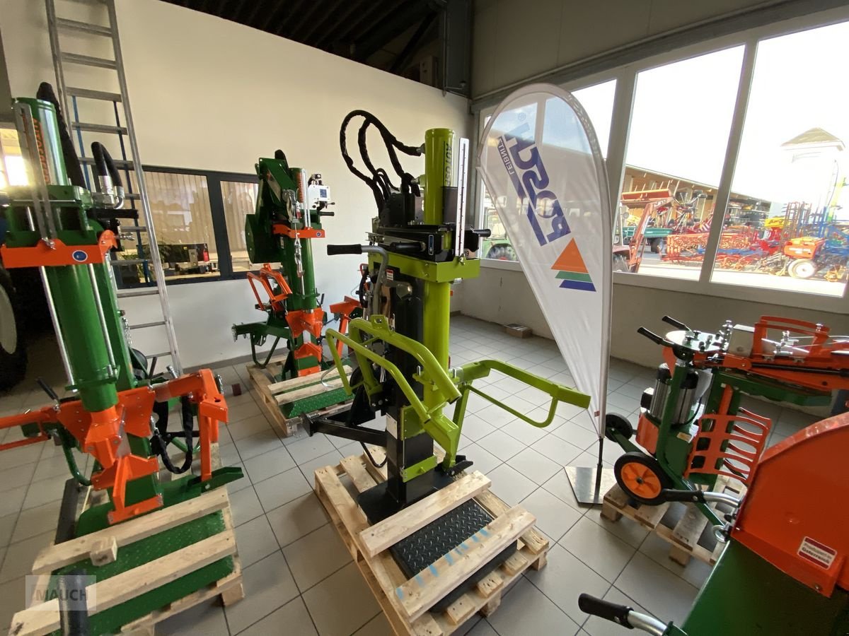 Holzspalter des Typs Paldu 1100-19Z, Neumaschine in Burgkirchen (Bild 2)