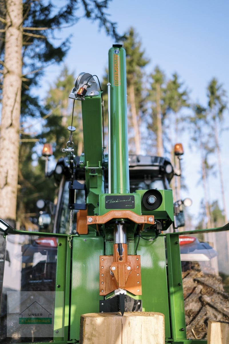Holzspalter des Typs Posch Ferdinand 22t, Neumaschine in Hartberg (Bild 2)
