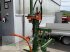 Holzspalter del tipo Posch HydroCombi, Gebrauchtmaschine en Feldbach (Imagen 4)