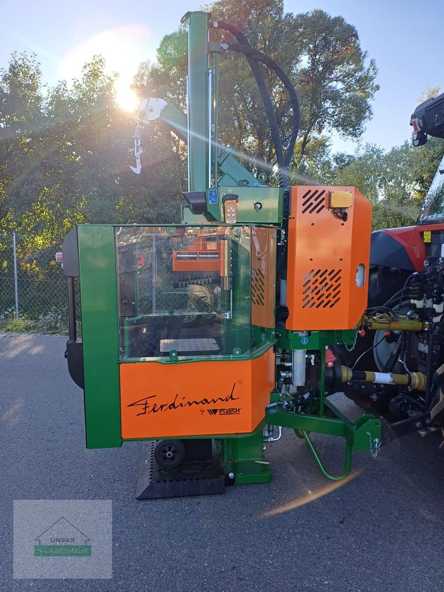 Holzspalter des Typs Posch Posch Ferdinand, Neumaschine in Voitsberg (Bild 8)