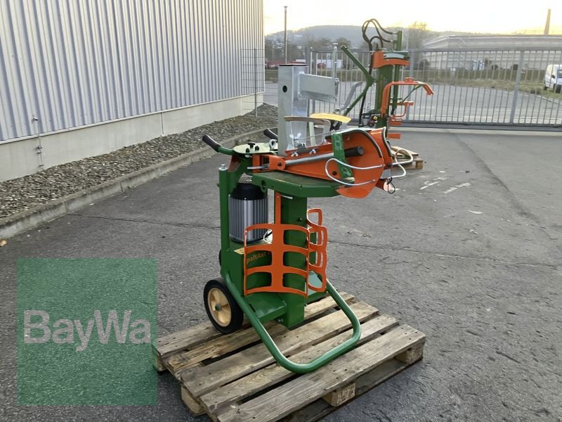 Holzspalter typu Posch POSCH SPALTAXT 8   E5,5-400V, Gebrauchtmaschine w Bamberg (Zdjęcie 4)
