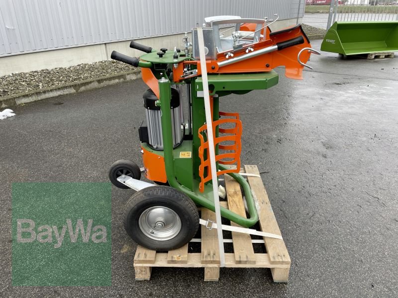 Holzspalter van het type Posch SPALTAXT 10 TURBO, Gebrauchtmaschine in Bamberg (Foto 4)