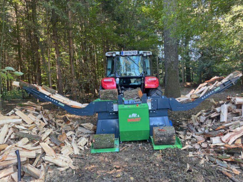 Holzspalter des Typs Robust Ranger 250, Mietmaschine in Ragnitz (Bild 2)
