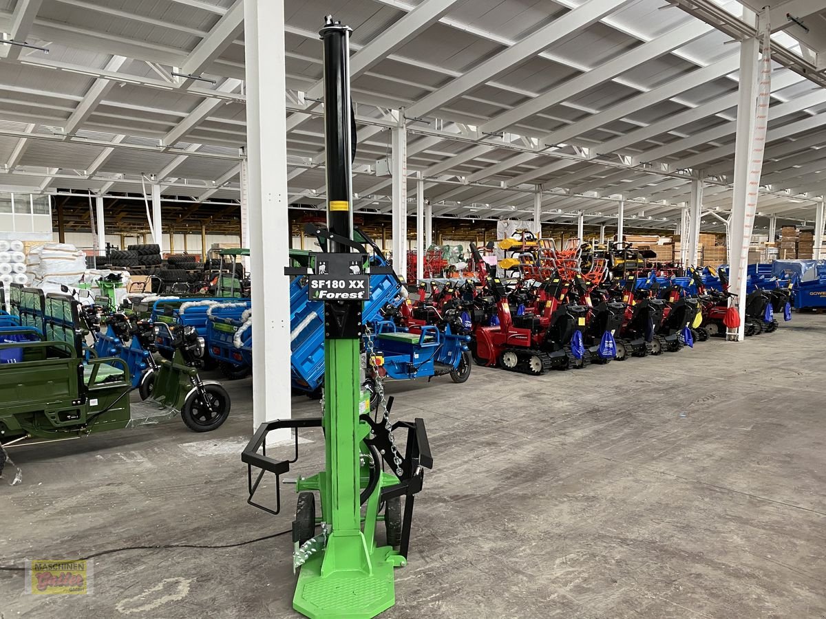 Holzspalter des Typs Sonstige DOCMA Forest SF 180XX Kombi, Neumaschine in Kötschach (Bild 3)