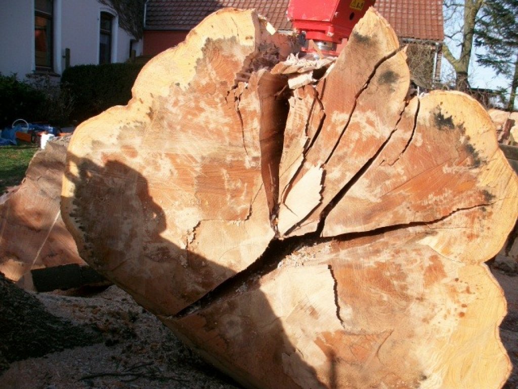 Holzspalter des Typs Sonstige Kegelspalter Holzspalter Bagger 315 ccm Ölmotor 25 Kw 1.750 Nm, Neumaschine in Ingolstadt (Bild 4)