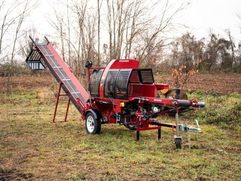 Holzspalter del tipo Sonstige SA48 Pro, Neumaschine In Gais (Immagine 1)