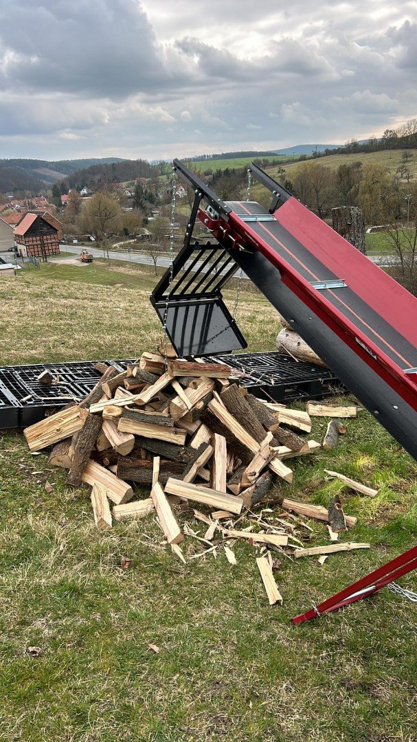Holzspalter Türe ait Sonstige Sonstiges, Neumaschine içinde Gais (resim 4)