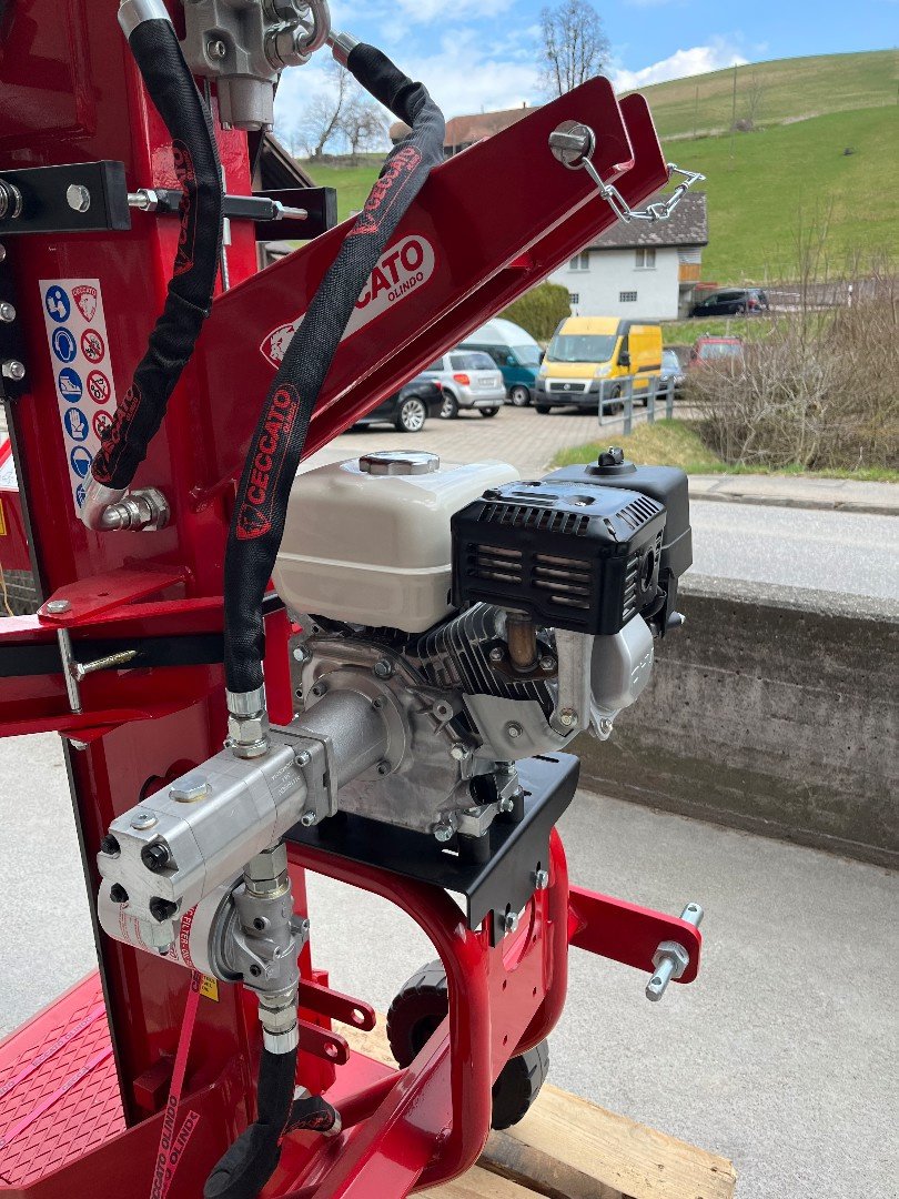 Holzspalter des Typs Sonstige SPL16H, Neumaschine in Helgisried (Bild 4)