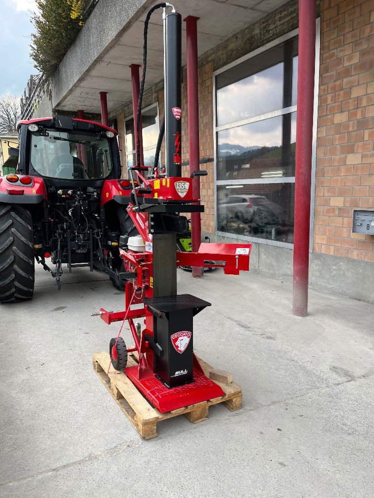 Holzspalter des Typs Sonstige SPL16H, Neumaschine in Helgisried (Bild 5)