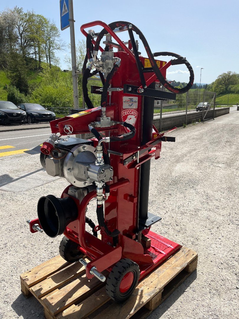 Holzspalter des Typs Sonstige T 16, Neumaschine in Helgisried (Bild 4)