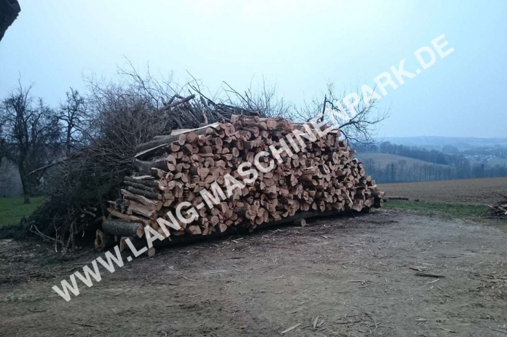 Holzspalter des Typs westtech L Serie Spaltzange, Neumaschine in Petting (Bild 8)