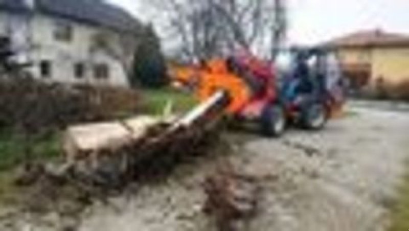 Holzspalter от тип Westtech Westtech Woodcracker L 700, Neumaschine в NATTERNBACH (Снимка 7)