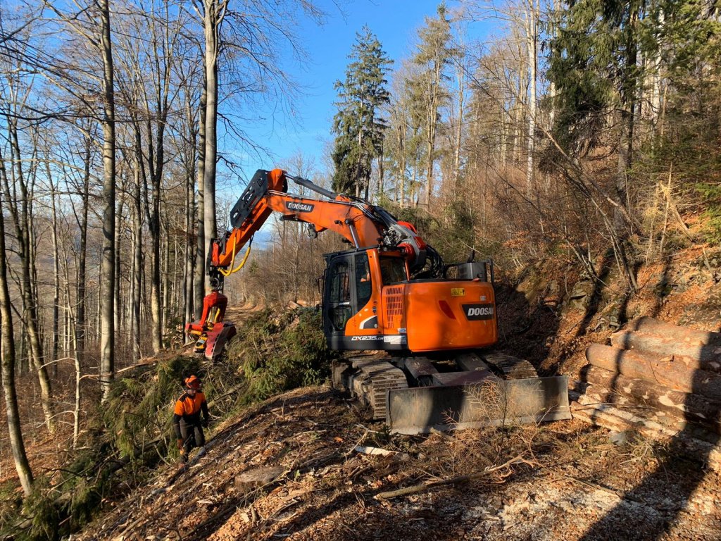 Holzvollernter des Typs Doosan DX 235 Harvester Woody, Neumaschine in Hutthurm (Bild 5)