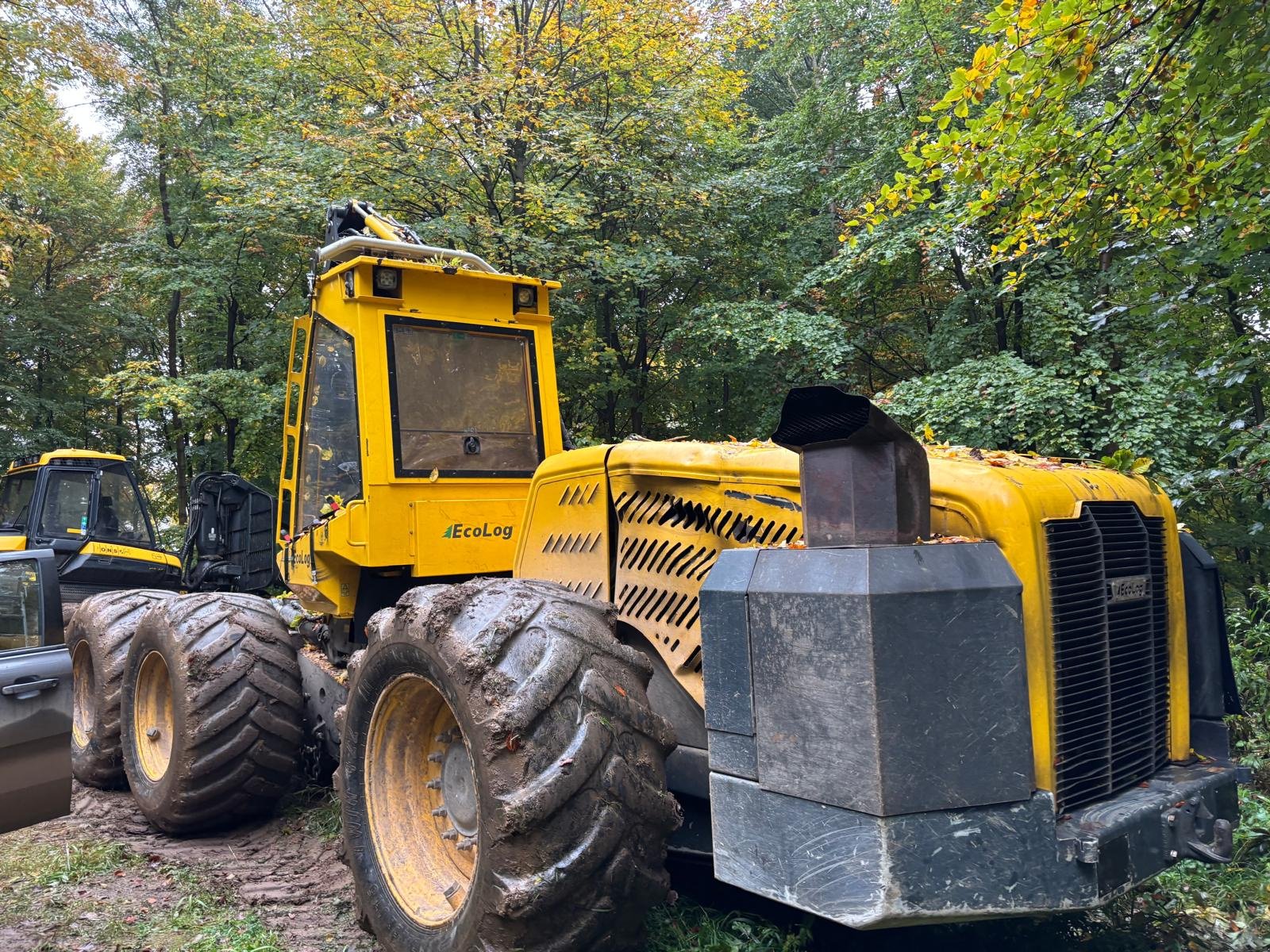 Holzvollernter vrste Ecolog 590E, Gebrauchtmaschine v Lüneburg (Slika 1)