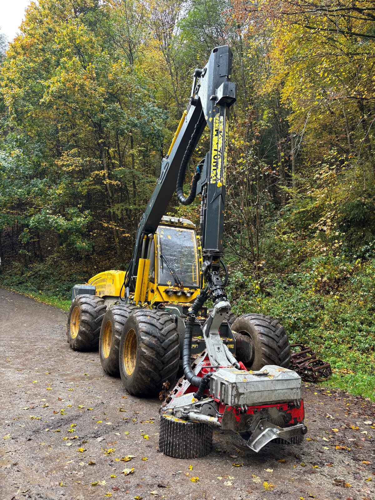 Holzvollernter vrste Ecolog 590E, Gebrauchtmaschine v Lüneburg (Slika 3)