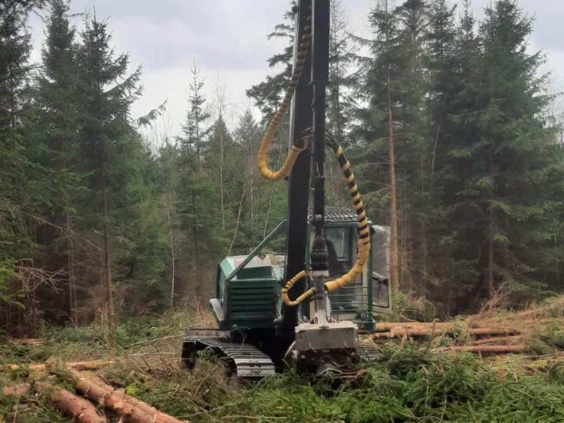 Holzvollernter Türe ait Impex Mini-Königstiger, Gebrauchtmaschine içinde Bogen                         
