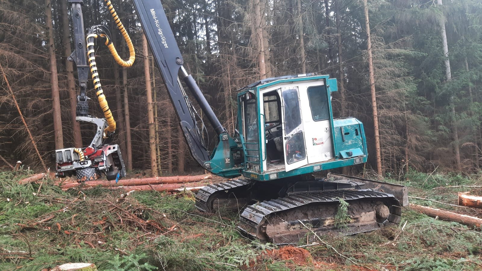 Holzvollernter del tipo Impex Mini-Königstiger, Gebrauchtmaschine In Bogen                          (Immagine 2)