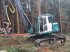 Holzvollernter del tipo Impex Mini-Königstiger, Gebrauchtmaschine In Bogen                          (Immagine 2)