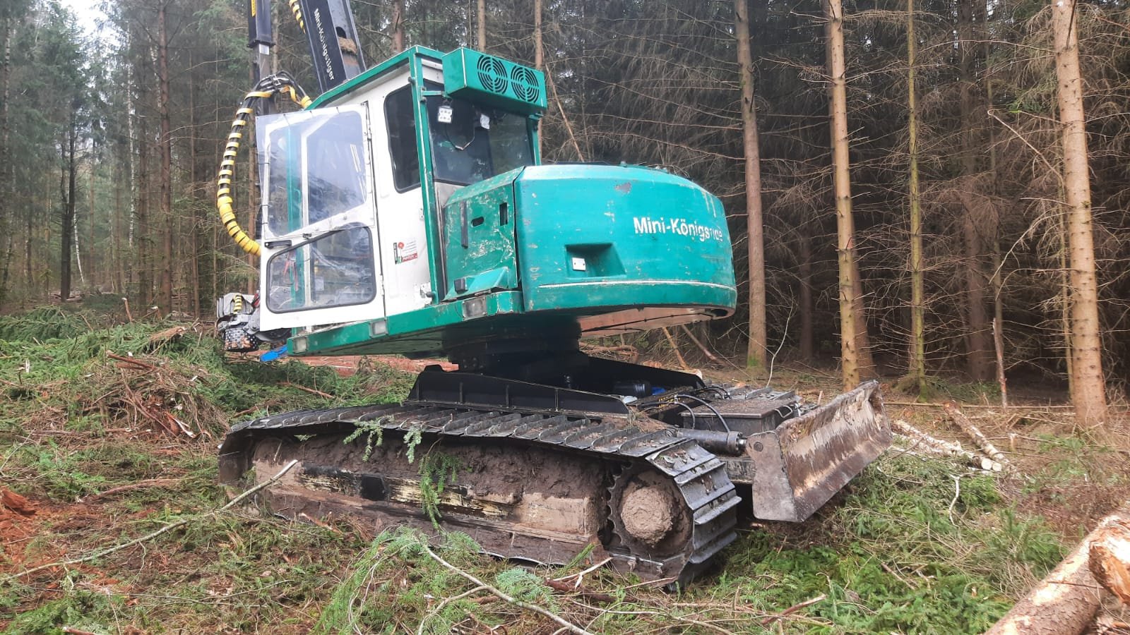Holzvollernter del tipo Impex Mini-Königstiger, Gebrauchtmaschine In Bogen                          (Immagine 3)