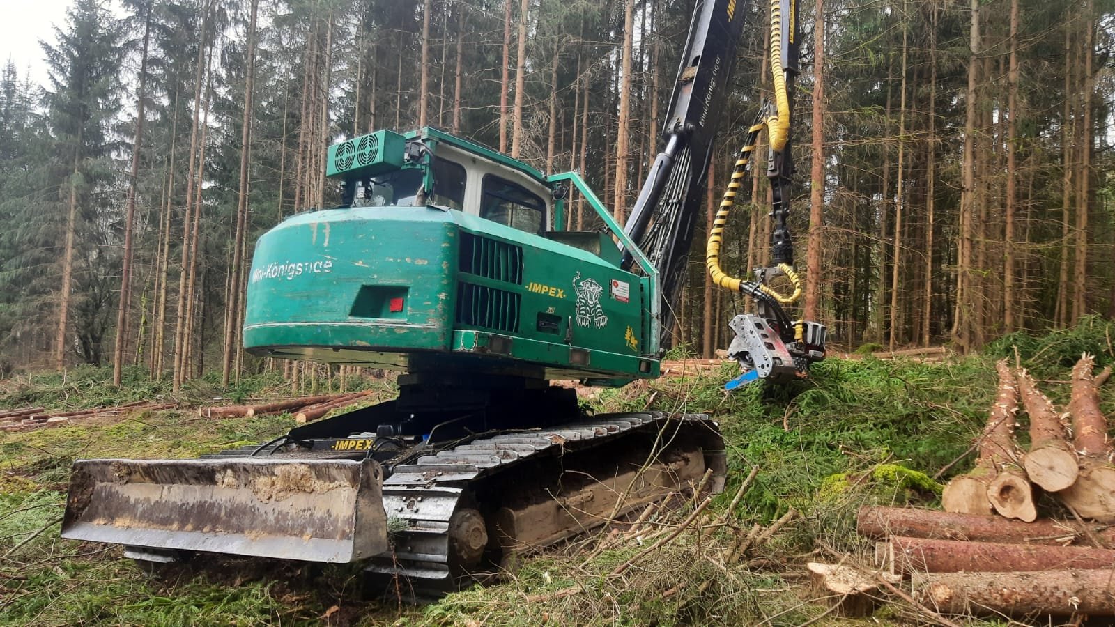 Holzvollernter del tipo Impex Mini-Königstiger, Gebrauchtmaschine In Bogen                          (Immagine 4)