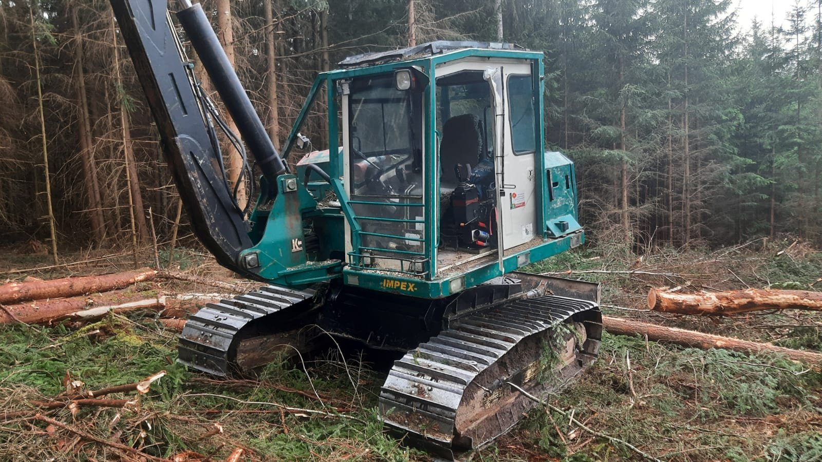 Holzvollernter del tipo Impex Mini-Königstiger, Gebrauchtmaschine In Bogen                          (Immagine 5)