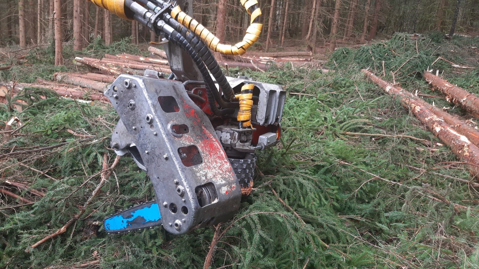 Holzvollernter del tipo Impex Mini-Königstiger, Gebrauchtmaschine In Bogen                          (Immagine 7)