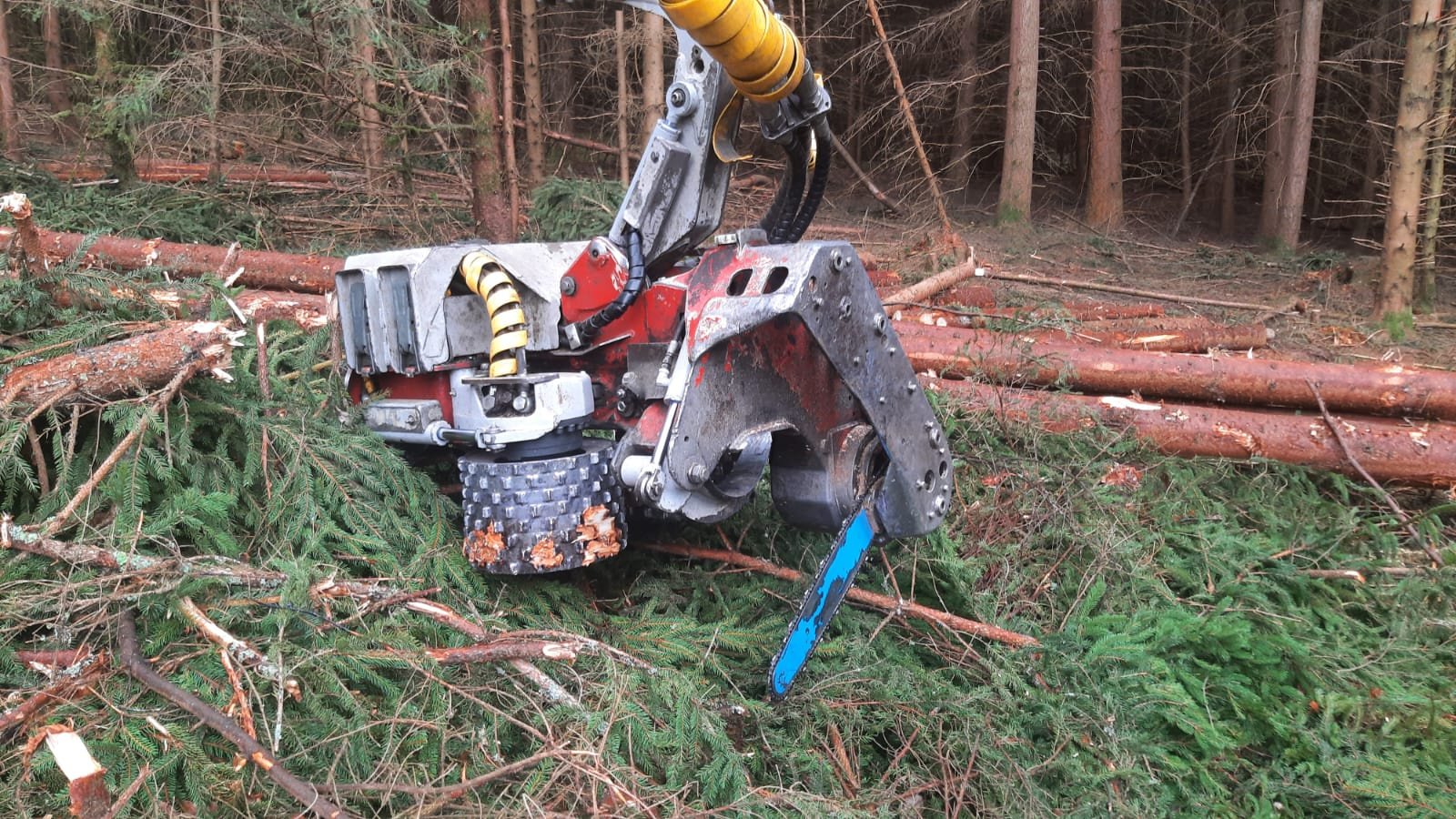Holzvollernter del tipo Impex Mini-Königstiger, Gebrauchtmaschine In Bogen                          (Immagine 8)