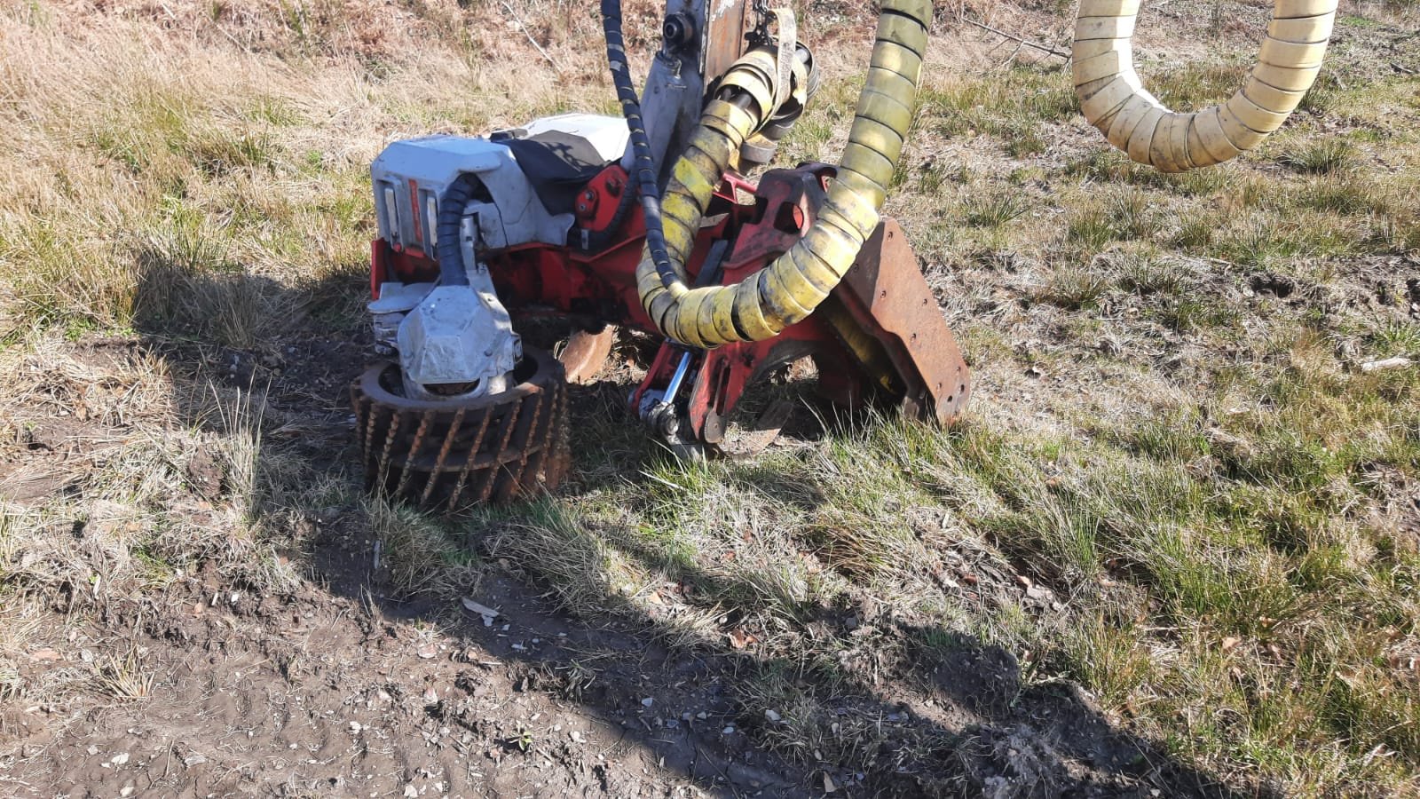 Holzvollernter типа Impex Mini-Königstiger, Gebrauchtmaschine в Bogen Niederbay (Фотография 7)