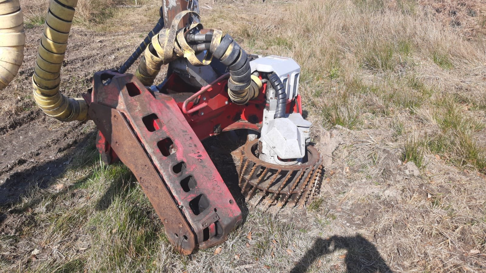 Holzvollernter типа Impex Mini-Königstiger, Gebrauchtmaschine в Bogen Niederbay (Фотография 8)