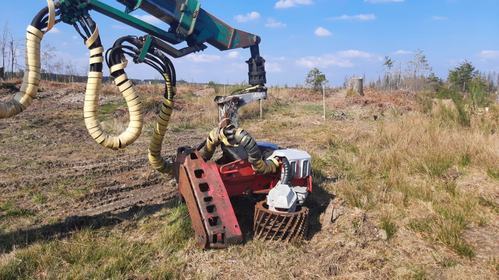 Holzvollernter типа Impex Mini-Königstiger, Gebrauchtmaschine в Bogen Niederbay (Фотография 9)