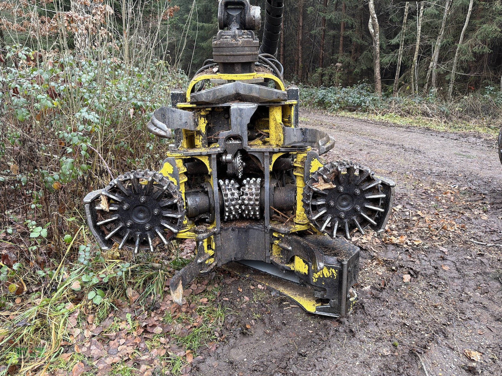 Holzvollernter typu John Deere 1270 E, Gebrauchtmaschine v Leinburg (Obrázek 10)