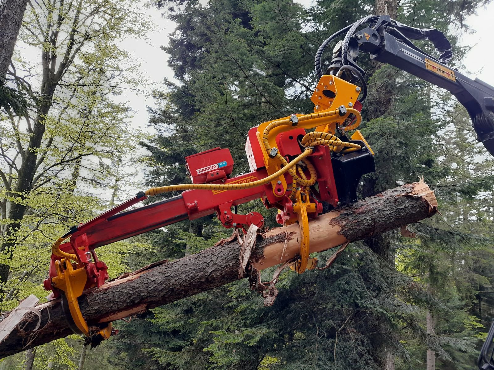 Holzvollernter typu Naarva S 23C Gamsjäger Edition, Neumaschine v Gosau am Dachstein (Obrázek 3)